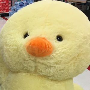 Meet your Posher, Cullan